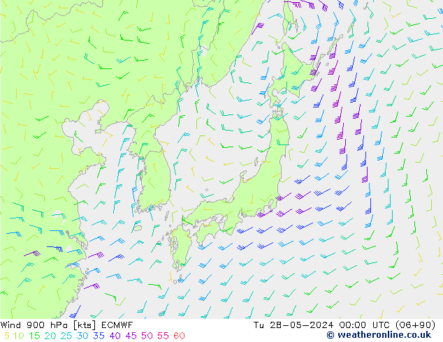 wiatr 900 hPa ECMWF wto. 28.05.2024 00 UTC