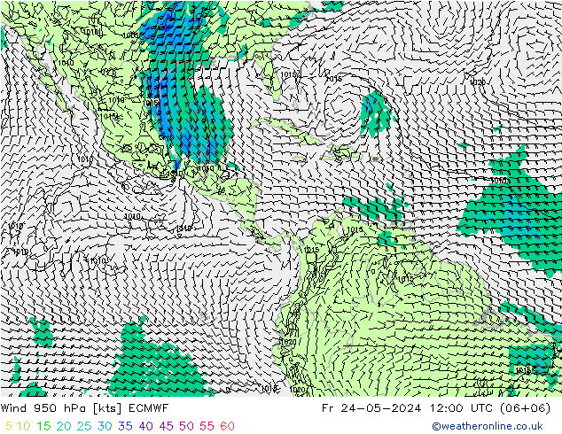 Vento 950 hPa ECMWF ven 24.05.2024 12 UTC