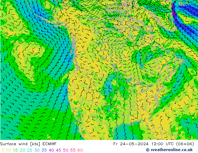 Bodenwind ECMWF Fr 24.05.2024 12 UTC