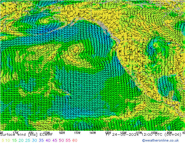 Wind 10 m ECMWF vr 24.05.2024 12 UTC