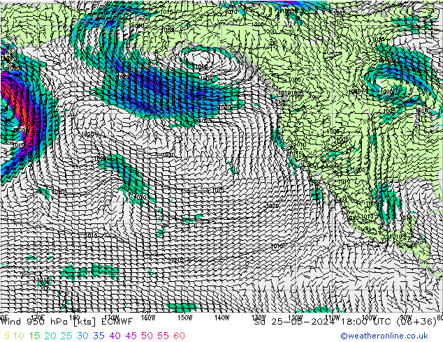 Wind 950 hPa ECMWF Sa 25.05.2024 18 UTC