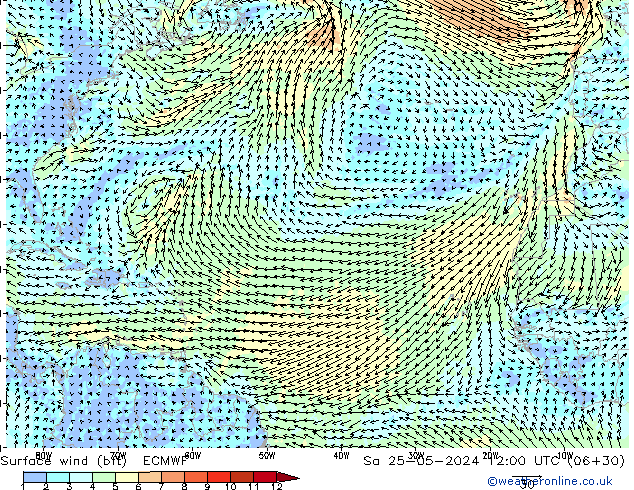 wiatr 10 m (bft) ECMWF so. 25.05.2024 12 UTC