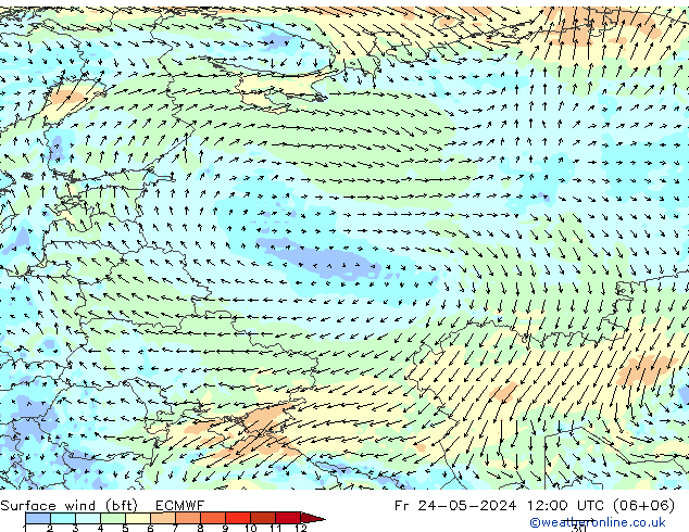 Vento 10 m (bft) ECMWF ven 24.05.2024 12 UTC