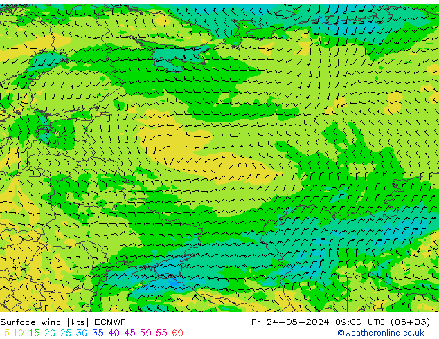 Surface wind ECMWF Fr 24.05.2024 09 UTC