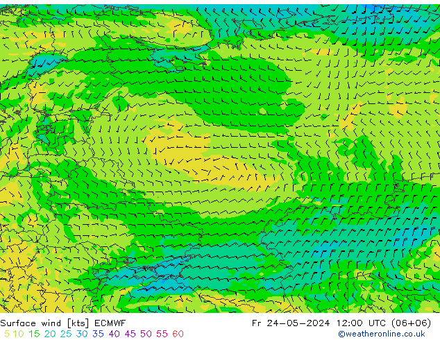 ветер 10 m ECMWF пт 24.05.2024 12 UTC