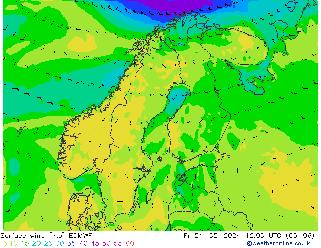 Wind 10 m ECMWF vr 24.05.2024 12 UTC