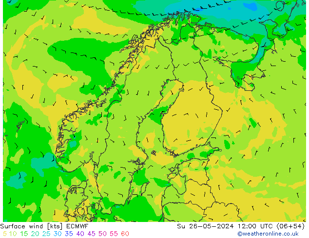 Wind 10 m ECMWF zo 26.05.2024 12 UTC