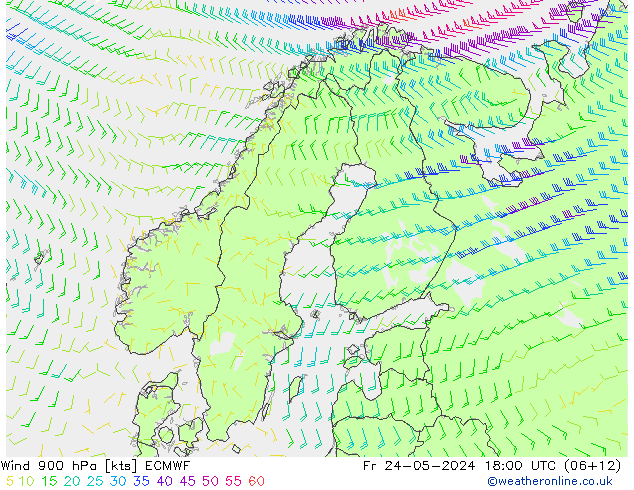 ветер 900 гПа ECMWF пт 24.05.2024 18 UTC