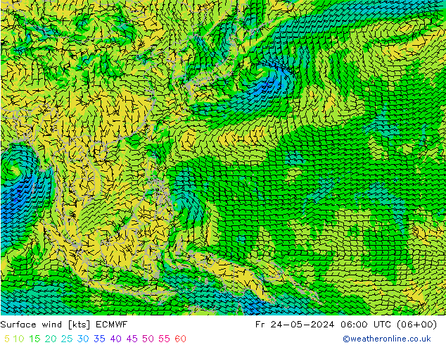 ветер 10 m ECMWF пт 24.05.2024 06 UTC