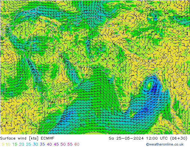 wiatr 10 m ECMWF so. 25.05.2024 12 UTC