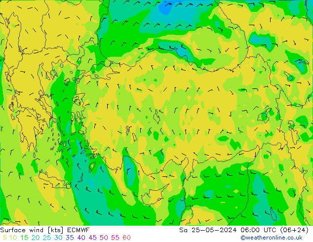 ветер 10 m ECMWF сб 25.05.2024 06 UTC