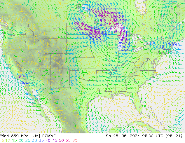 ветер 850 гПа ECMWF сб 25.05.2024 06 UTC