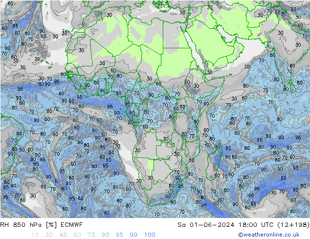 RH 850 гПа ECMWF сб 01.06.2024 18 UTC