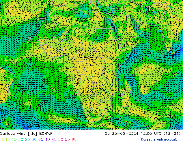 Vent 10 m ECMWF sam 25.05.2024 12 UTC