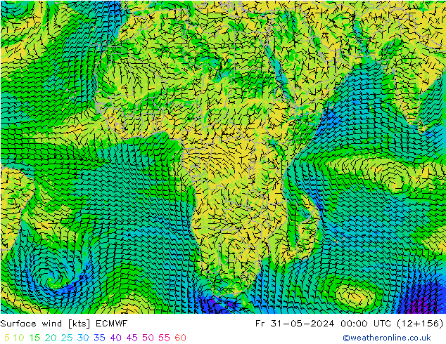 Surface wind ECMWF Fr 31.05.2024 00 UTC