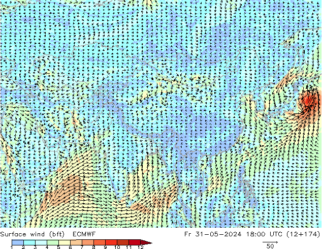 Rüzgar 10 m (bft) ECMWF Cu 31.05.2024 18 UTC