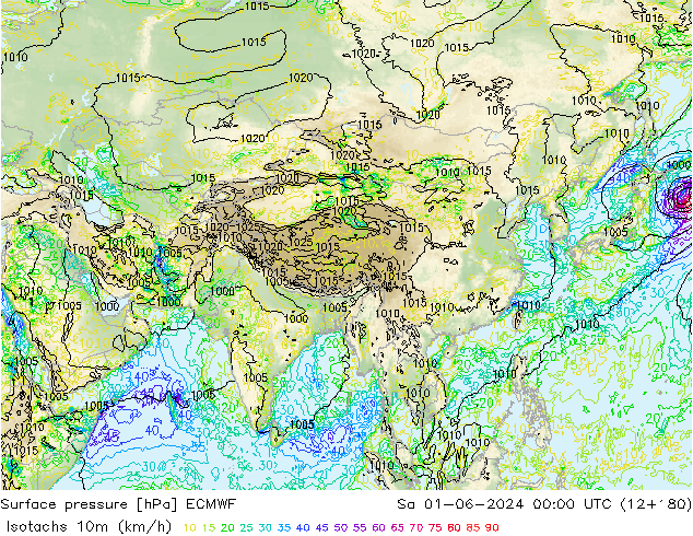 Isotachs (kph) ECMWF sab 01.06.2024 00 UTC