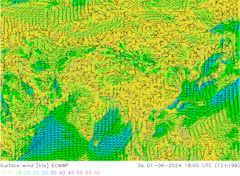 Rüzgar 10 m ECMWF Cts 01.06.2024 18 UTC