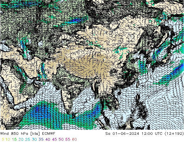 Wind 850 hPa ECMWF Sa 01.06.2024 12 UTC