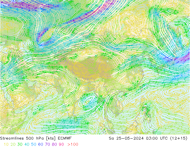 Linha de corrente 500 hPa ECMWF Sáb 25.05.2024 03 UTC