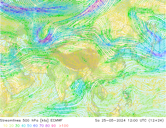 Streamlines 500 hPa ECMWF So 25.05.2024 12 UTC