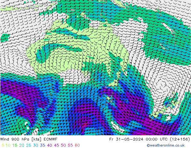 Wind 900 hPa ECMWF Fr 31.05.2024 00 UTC