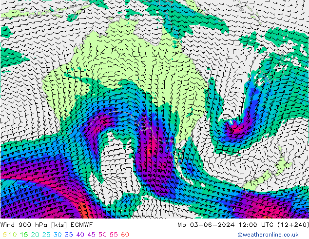 Wind 900 hPa ECMWF Mo 03.06.2024 12 UTC