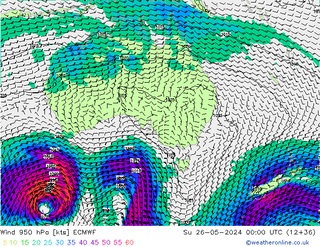 Rüzgar 950 hPa ECMWF Paz 26.05.2024 00 UTC