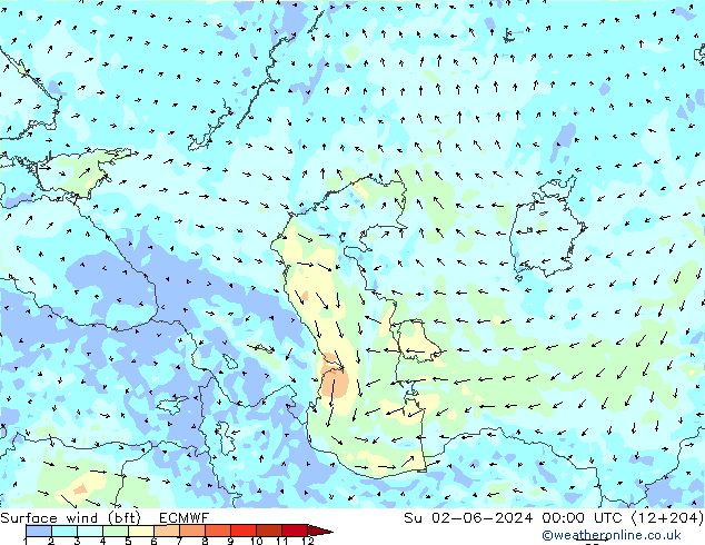 Wind 10 m (bft) ECMWF zo 02.06.2024 00 UTC