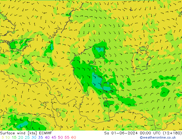 Vent 10 m ECMWF sam 01.06.2024 00 UTC