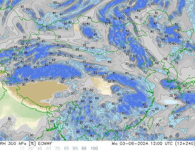 RH 300 hPa ECMWF 星期一 03.06.2024 12 UTC