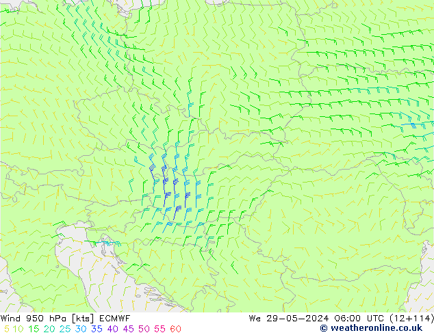 ветер 950 гПа ECMWF ср 29.05.2024 06 UTC