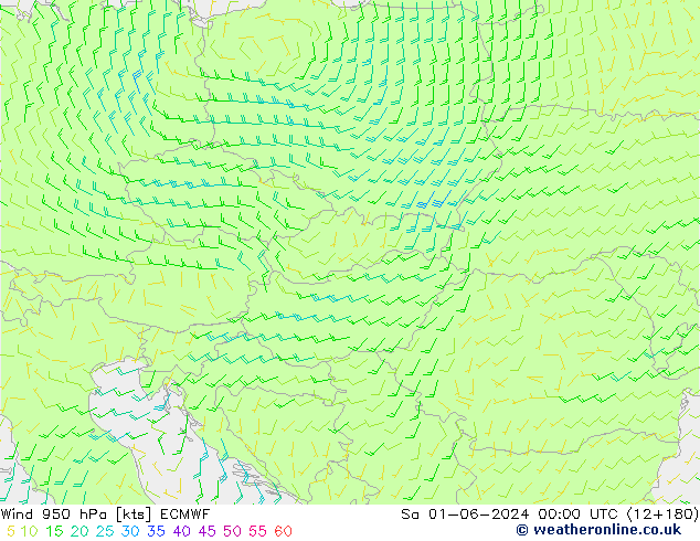 Viento 950 hPa ECMWF sáb 01.06.2024 00 UTC