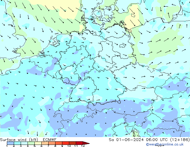 ве�Bе�@ 10 m (bft) ECMWF сб 01.06.2024 06 UTC