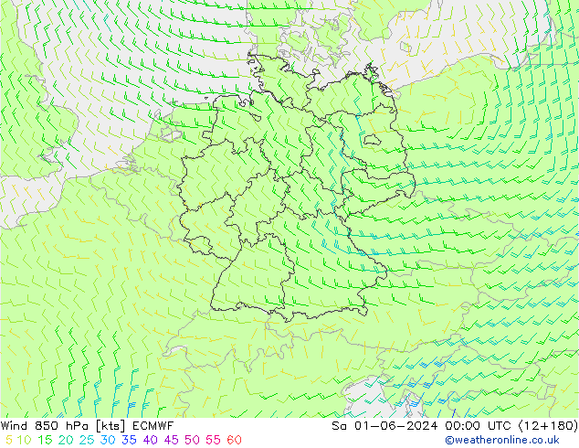 Wind 850 hPa ECMWF Sa 01.06.2024 00 UTC