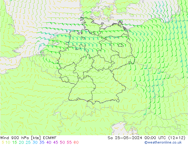 Wind 900 hPa ECMWF Sa 25.05.2024 00 UTC