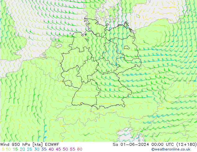 Wind 950 hPa ECMWF za 01.06.2024 00 UTC