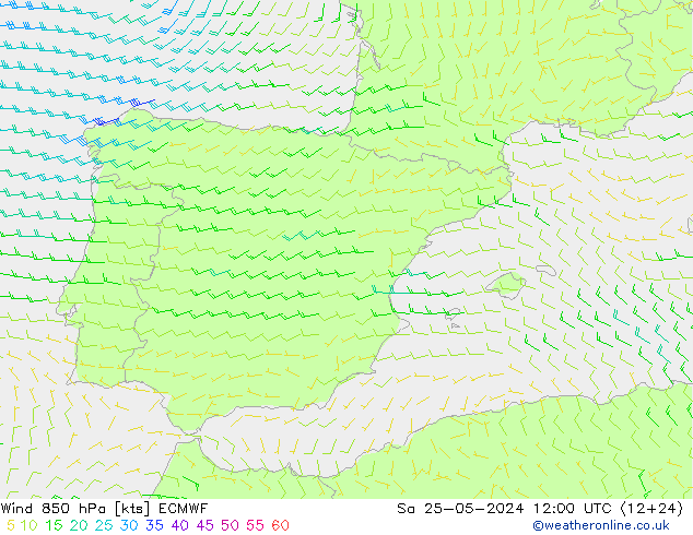  850 hPa ECMWF  25.05.2024 12 UTC