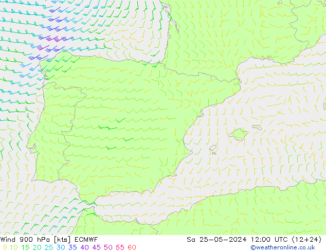 Rüzgar 900 hPa ECMWF Cts 25.05.2024 12 UTC