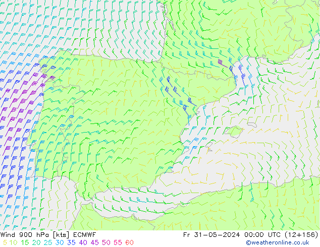 Wind 900 hPa ECMWF vr 31.05.2024 00 UTC