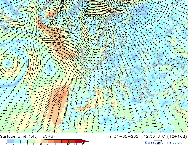  10 m (bft) ECMWF  31.05.2024 12 UTC