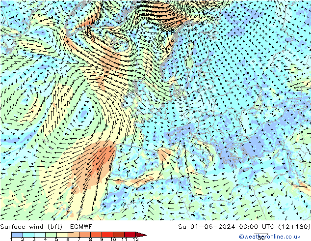 Wind 10 m (bft) ECMWF za 01.06.2024 00 UTC