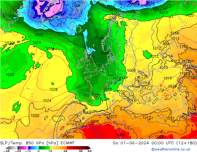 SLP/Temp. 850 hPa ECMWF Sáb 01.06.2024 00 UTC