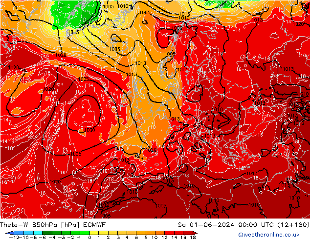 Theta-W 850hPa ECMWF Sa 01.06.2024 00 UTC