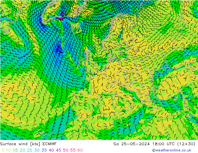 Surface wind ECMWF So 25.05.2024 18 UTC