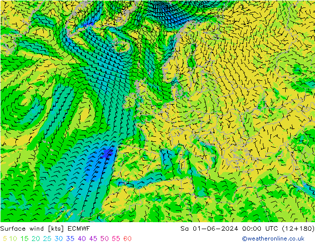 Surface wind ECMWF Sa 01.06.2024 00 UTC