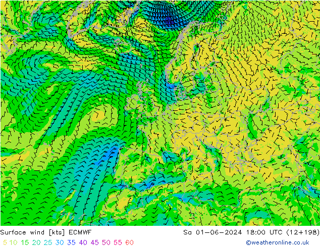 Vent 10 m ECMWF sam 01.06.2024 18 UTC