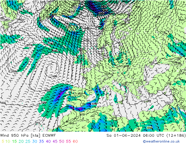 Wind 950 hPa ECMWF Sa 01.06.2024 06 UTC