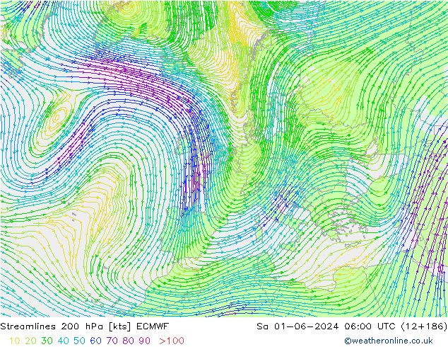 Stromlinien 200 hPa ECMWF Sa 01.06.2024 06 UTC