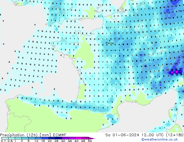 Precipitation (12h) ECMWF Sa 01.06.2024 00 UTC